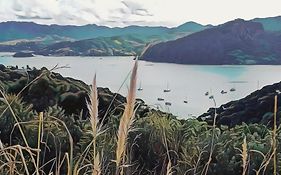 Doubtless Bay Villas